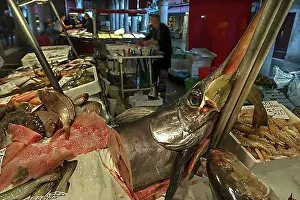 Goods Prints: Fresh Swordfish (Xiphias gladius)