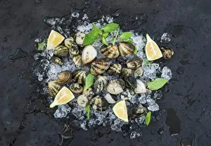 Seafood Prints: Fresh uncooked cockles with lemon