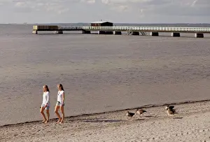 Relaxation Prints: Two friends enjoying a beachside stroll with birds in tow
