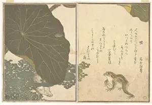 Written Prints: Frog (Kaeru); Gold Beetle (Kogane mushi)