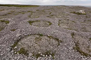 Marine Prints: Frost polygons and other permafrost effects on Ordovician limestone