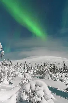 Finland Prints: Frozen snowy forest under the Northern Lights