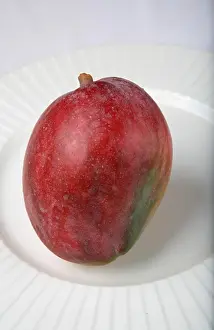 Mango Prints: Fruit ; Red Mango ; Sweet ; Sour test ; Colourful ; One mango in a plate ; India