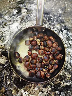 Roasted Prints: A frying pan over an open fire, with blackened fresh roasted chestnuts
