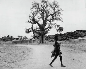 African People Prints: The Furafura Pagans Of The Gold Coast (Northern Territories) -- A Furafura woman crosses the road