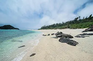East Asia Prints: Furuzamami Beach, Zamami island, Kerama islands, Okinawa, Japan, Asia