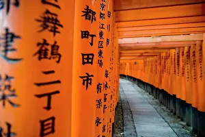 Asian Prints: Fushimi Inari shrine, Tokyo, Japan, Asia