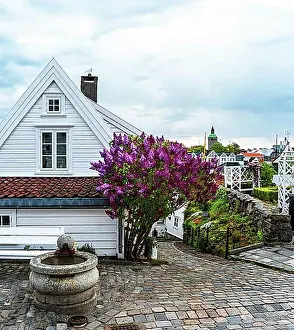 Norwegian Prints: Gamle Stavanger, White Wooden Buildings in Old Stavanger, Stavanger, Norway, Europe