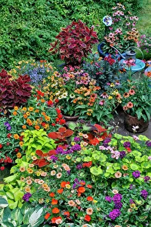 Darrell Gulin Prints: Garden in full bloom, Sammamish, Washington State