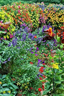 Darrell Gulin Prints: Garden in full bloom, Sammamish, Washington State