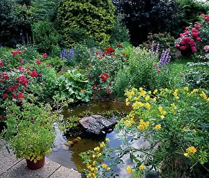 Ponds Prints: Garden pond in the flower-garden pond in the flower-garden