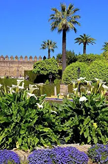 Exterior Photograph Prints: The gardens of Alcazar de los Reyes Cristianos