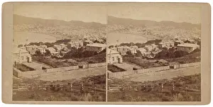 General View Prints: ﻿General view, Wellington, circa 1880, Wellington, by Burton Brothers