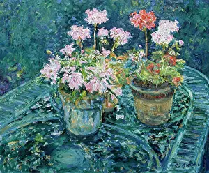 Impressionism Prints: Geraniums On Garden Table Charles Neal (b.1951 British) Oil On Panel