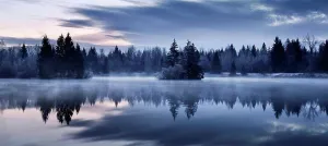 Morning Mood Prints: Germany, Bavaria, Auensee (lake), morning mood, reflection