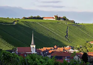 Viticulture Prints: Germany, Lower Franconia, Escherndorf and Vogelsburg Castle surrounded by vinyards