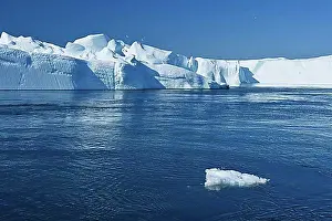 Giant Prints: Gigantic icebergs in the ice fjord