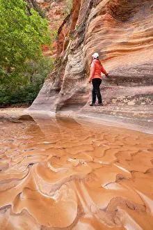 Hike Prints: A girl admiring the beautiful rock formations in Zion National Park during a summer day
