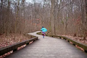 Columbus Prints: Girl in bright blue coat runs down wooded path in woods in autumn