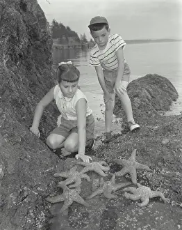 Curiosity Prints: Girl and her brother looking at starfish on a rock