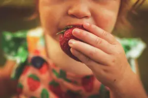 Nose Prints: Girl eating strawberries in summer