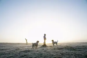 Land Scape Prints: Girl in frozen winter field with dogs