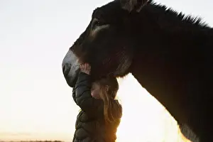 Underneath Prints: Girl standing underneath donkey