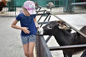 Holidays Prints: The girl in the zoo was scared of the donkey who approached