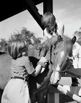 Braids Prints: Two girls grooming their horse
