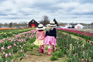 Farm Prints: Girls wandering down tulip fields springtime