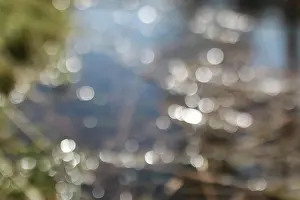 Dekoration Prints: glare bokeh in water glare bokeh in water in sunny spring day