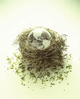 Globe Prints: Globe in a bird's nest
