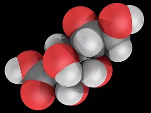Matter Prints: Gluconic acid, molecular model
