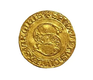Tuscany Prints: Golden florin minted by the Republic of Siena (1450)