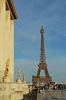 Museums Prints: Golden statues at the Palais de Chaillot with the Eiffel Tower
