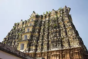 Culture Prints: A gopuram, Sree Padmanabhaswamy Temple, Trivandrum, Kerala, India