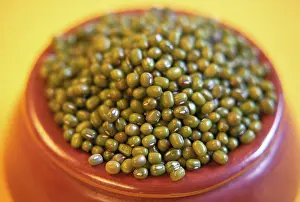 Industry Prints: Grain, Beans, Pulse Mung (Moong dal) in earthen pot