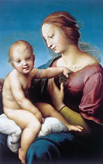 Madonna Prints: Grande Madonna Cowper Date 1506 by Raphael (April 6 1483 April 6 1520)