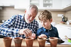 Vegetables Prints: Grandfather and grandson planting seedlings