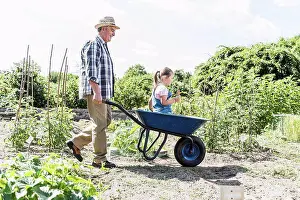 Vegetables Prints: Grandfather pushing wheelbarrow with granddaughter in the garden