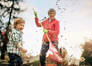 50 To 55 Years Prints: Grandmother raking leaves with grandson
