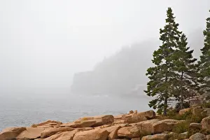Weather Prints: Granite boulders and distant Otter Cliff
