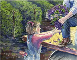 Overalls Prints: Grape Harvest 2003 Linda Braucht (20th C. American)