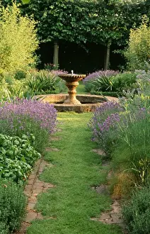 Scented Prints: Grass path leading through scented herbs to circular pond in country garden