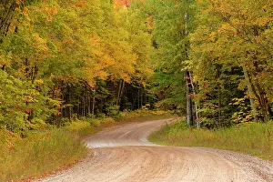 Pathway Prints: Gravel road through Hiawatha National Forest, Upper Peninsula of Michigan