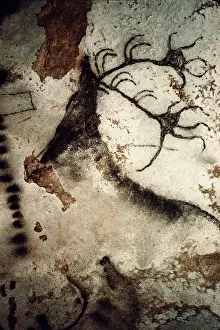 Deer Prints: Great Stag Prehistoric Art Lascaux Caves, France