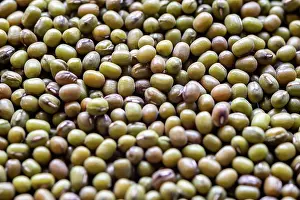 Round Prints: many green mung bean seeds closeup of many green mung bean seeds Copyright: xZoonar