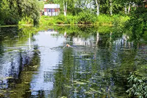 2016 Prints: green pond with swiming dog and travel trailer green pond with swiming dog