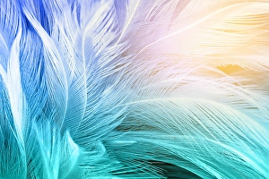 Heaven Prints: Green turquoise and blue color trends chicken feather texture background, Light orange