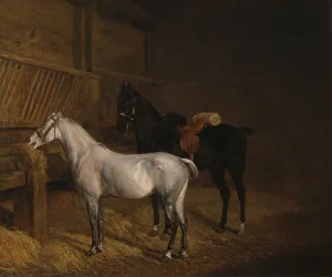 Animal Art Prints: Grey Pony Black Charger Stable Jacques-Laurent Agasse